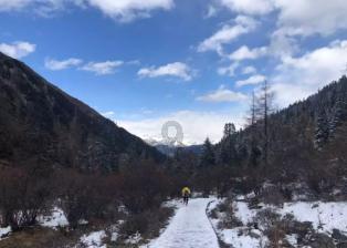 网红经济学家任泽平“带货”生发产品翻车:防脱育发赛道注册受理已收紧